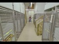 dude ranch pet resort west glen allen va pet boarding u0026 kennels