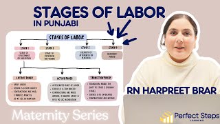 Obstetrics, 4 Stages of Labor, Maternity nursing, Effacement, Expulsion, Placenta, nclex rn notes