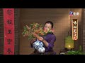 the flower sea with buddha s spirit_nine cohabitations_teacher li lishu_ lifetv_20200311_11 00