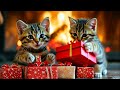 a music video about christmas from kittens cult of kittens