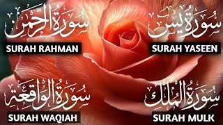 Surah Yasin ❤️ Surah Rehman, Mulk ❤️ Sureh Waqia ❤️ Mind Soothing ep 00104 #qurantilawat #quran