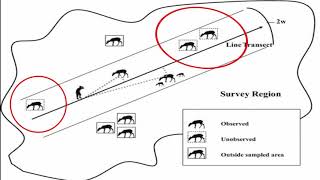 Part 1 of Sampling techniques for estimation of insect population and damage