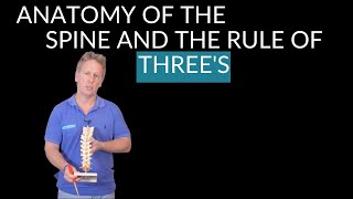 Anatomy of the Thoracic Spine and the RULE OF THREE'S...