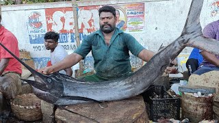 June 28, 2022 kasimedu selvam mayil kolla fish cutting