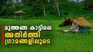 Muthanga Wildlife Sanctuary | Wayanad Tourist Places - Part 7