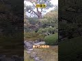 光琳曲水の庭@妙顕寺　 京都 庭園 kyoto garden shorts