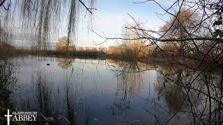 Relaxation at Glastonbury Abbey on Christmas Day 2020. Birdsong and the sound of water. HD