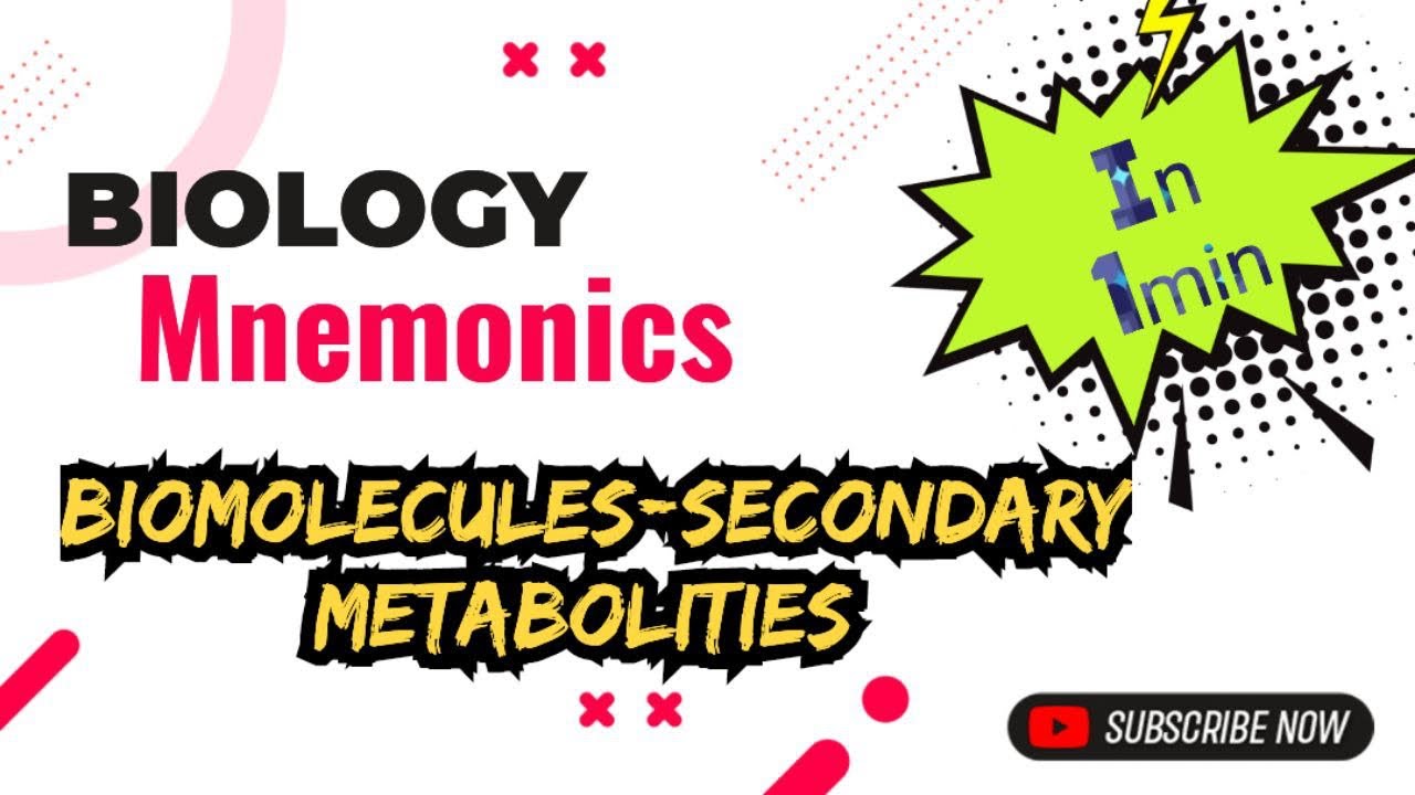 Biomolecules Mnemonics Neet Biology Youtube