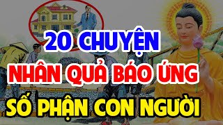 20 Chuyện Nhân Quả Báo Ứng, Số Phận Con Người - Cảnh Tỉnh Thế Gian , Ai Cũng Nên Nghe 1 Lần |Rất Hay