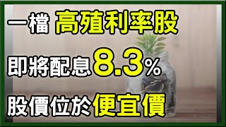 即將配息不看可惜，這一檔現金殖利率達8.3%