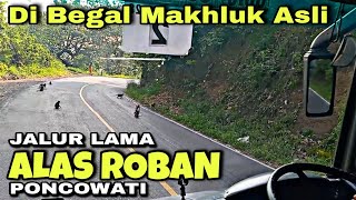 Momen Gila ❗ Di Begal Makhluk Asli Jalur Lama ALAS ROBAN Poncowati ❗| trip Raya 313