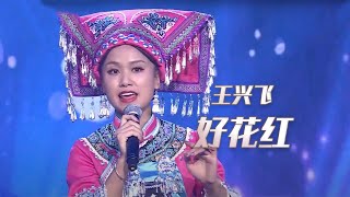 王兴飞演唱布依族民歌《好花红》 带你感受不一样的民族特色！[民歌中国] | 中国音乐电视 Music TV