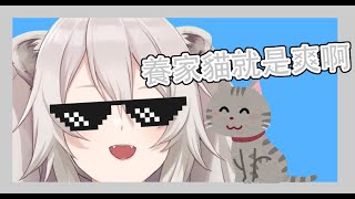 【獅白牡丹】直播公然吸貓的大獅子