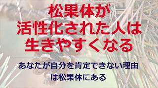 松果体が活性化すると人間どうなる？：ドクタードルフィン松果体革命5