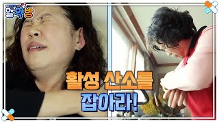 알약방 128회 ＜노화를 촉진시키는 활성 산소를 잡아라!＞ MBN 221208 방송