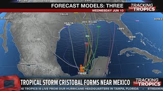 Tracking the Tropics: Tropical Storm Cristobal forms in Gulf