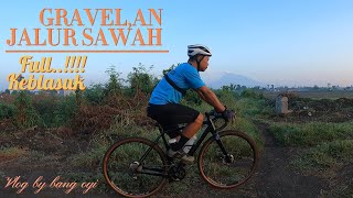 gravel jalur sawah tegal dan berakhir tersersat#sepedagravel