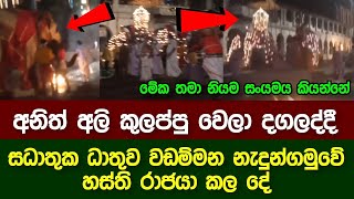 අනිත් අලි කුලප්පු වෙලා දඟලද්දි සධාතුක ධාතුව වඩම්මන හස්තියා කල දේ | Kandy Perahera