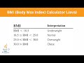 BMI (Body Max Index) Calculator Program | Java