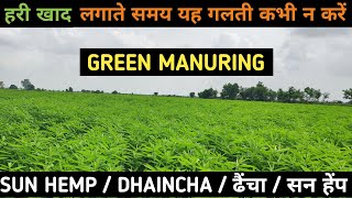 Green Manuring in Natural Farming | Green Manure Benefits of green food Dhaincha Farming