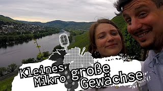 #asktoni - kleines Mikro, große Gewächse - Lara Haag // Weingut Schloss Lieser