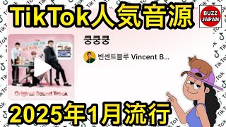 【TikTok】2025🇯🇵バズった音源【쿵쿵쿵】