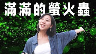 春季限定！花蓮螢火蟲季開始了！只限定一個月錯過等明年！｜花蓮旅遊 景點｜林宣Xuan Lin