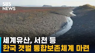 세계유산, 서천 등 한국의 갯벌 통합보존체계 마련 / SBS