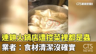 連鎖火鍋店遭控菜裡都是蟲　　業者：食材清潔沒確實｜華視新聞 20240402