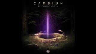 Cambium \u0026 Spiritual Mode - Psychedelic Vortex