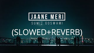 Jaane Meri (slowed+reverb) | Sumit Goswami | Relax Reverb