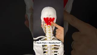 Your NERVOUS system could be causing neck pain + headaches. Try this out! #headaches #neckpainrelief