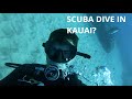 Discover the Hidden Gems of Scuba Diving in Kauai