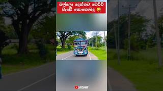 තා පොඩ්ඩෙන් ලෙෆ්ට් 😱 #automobile #teamsasindu #trending #sasiyabro #1million #sasindu