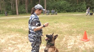 Подведены итоги Всероссийского конкурса профессионального мастерства среди полицейских-кинологов