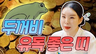 두꺼비 풍수용품 사용하면 좋은 띠 알려드려요~🐸🐸 / 어디에 놔야 가장 좋을까 ?