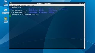 Java - Capture Screenshot