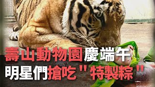 壽山動物園慶端午！ 明星們搶吃＂特製粽＂【央廣新聞】