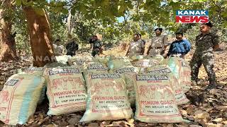 Kandhamal Police Seizes Over 10,000 kg Of Ganja In Major Raid | One Arrested