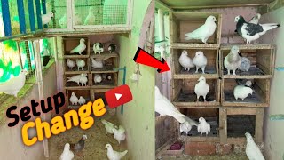 Jode wale kabootar ka nya setup !! New breeding setup |