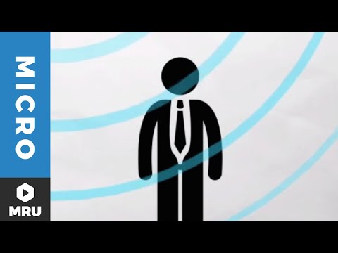 What is the signaling model?