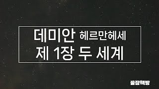 헤르만헤세 데미안 제1장 두세계 #책읽어주는남자 #숙면 #오디오북 #asmr