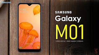 Samsung Galaxy M01 Price, First Look, Design, Specifications, Camera, Features