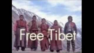 Hilight Tribe-Free Tibet(LIve)