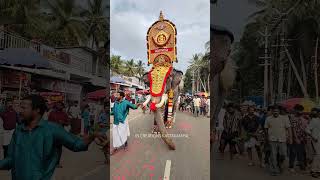 പാറക്കാടിയിലേക്ക് മേഘാർജുനൻ  #kerala #parakadipooram #elephant #pooram