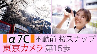 【SONY a7C】東京カメラ015『不動前、SONY α7Cで桜スナップ撮影』～桜の目黒不動尊、かむろ坂、目黒川～写真家/加藤ゆかの東京スナップ