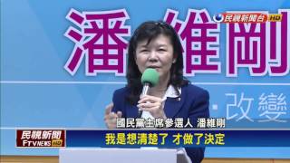 參選! 潘維剛:2018沒拿下3都 黨魁該辭－民視新聞