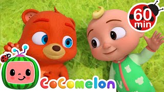 Bestie Bear  | CoComelon Animal Time | Animal Nursery Rhymes