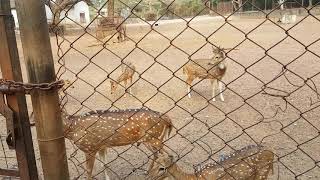 Hill palace Tripunithura