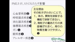 PM2.5とは何か？　PM2.5がヒトにもたらす影響は何か？ 　エスノメディア